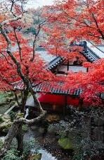 果冻视传媒免费版-探索果冻视传媒免费版,数字时代下的娱乐新选择